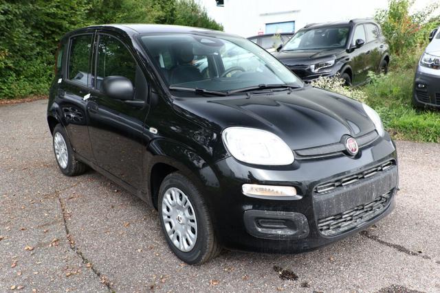 FIAT Pandina